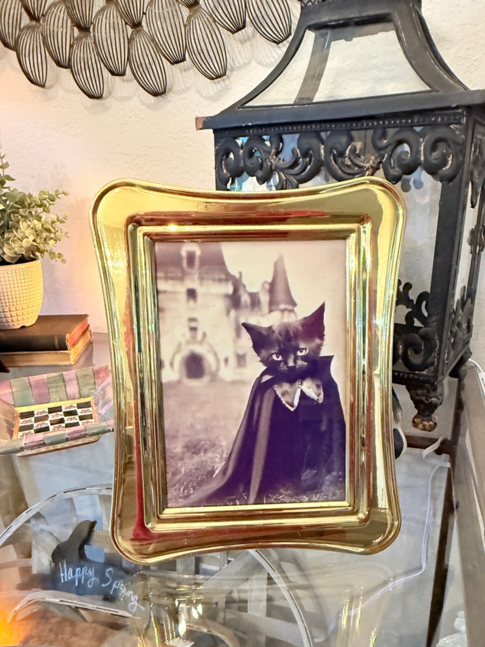 Vintage Brass Frame with Picture of Cat